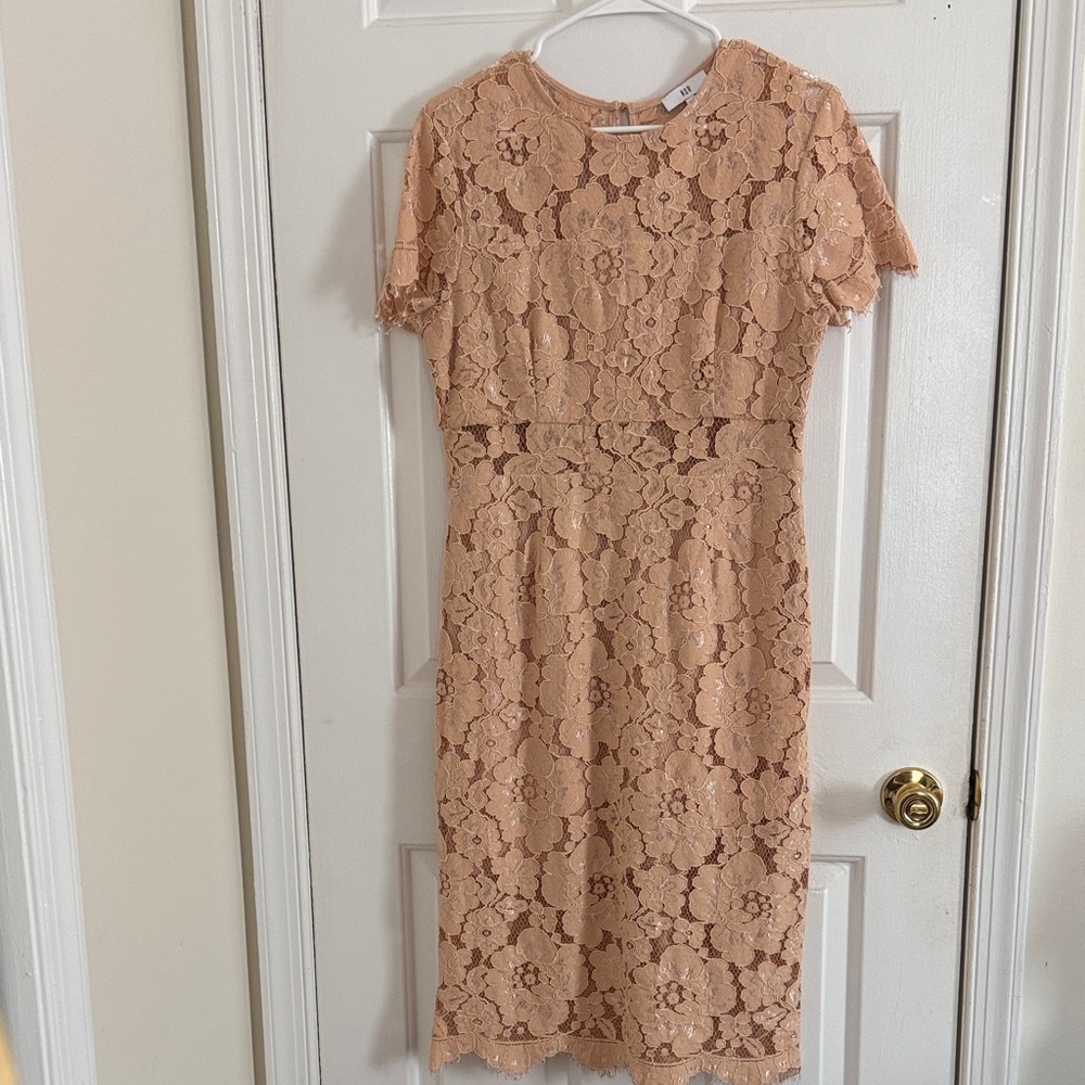 Lace Sheath Dress in Blush